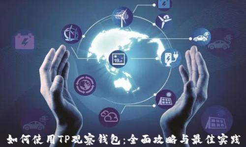 
如何使用TP观察钱包：全面攻略与最佳实践