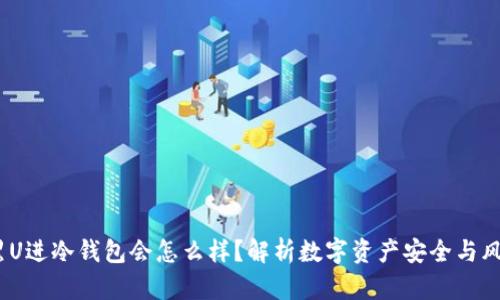  黑U进冷钱包会怎么样？解析数字资产安全与风险