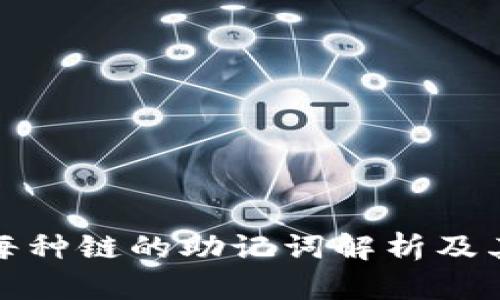TP钱包每种链的助记词解析及其重要性