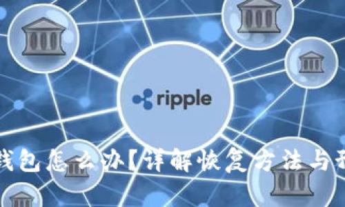 误删TP钱包怎么办？详解恢复方法与预防措施