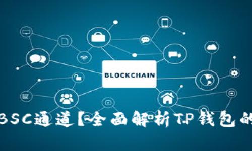 TP钱包是不是只能走BSC通道？全面解析TP钱包的网络选择与使用指南