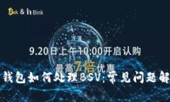 TP钱包如何处理BSV：常见问题解答