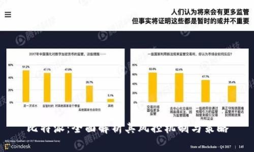 比特派：全面解析其风控机制与策略