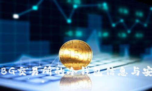 如何查询BG交易所的冷钱包信息与安全性分析